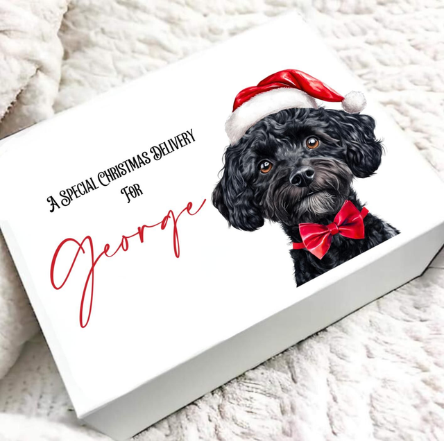 Dog Christmas Gift box personalised 
