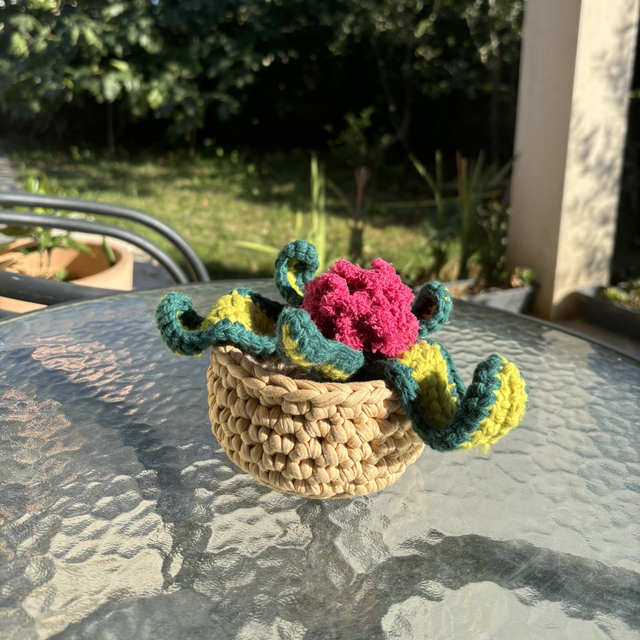 Plante décorative avec fleurs roses