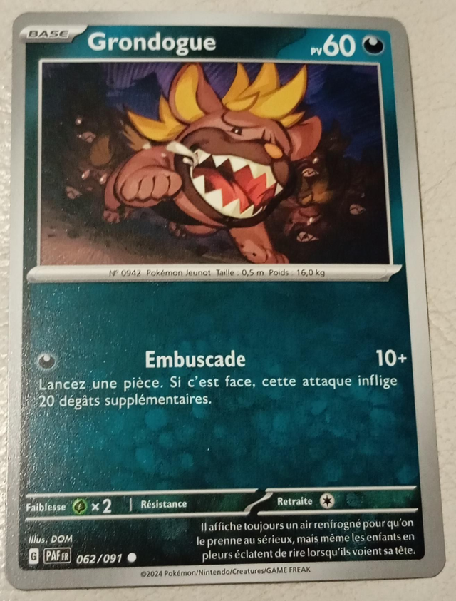 Carte pokémon Grondogue 