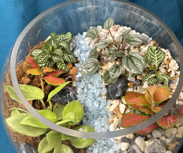 10th December Terrarium Workshop At Centivo Lounge Ashby