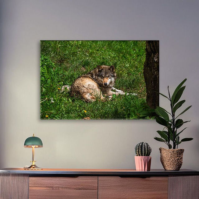 Jeune Loup &#039;Sky&#039; - Faune - Toile