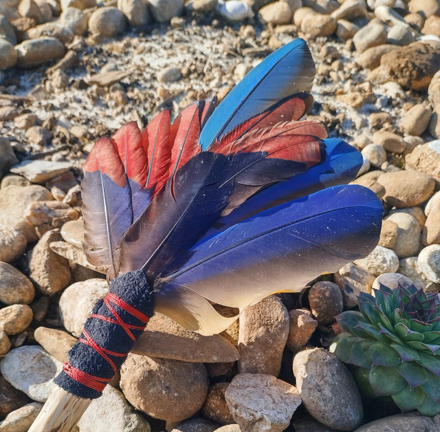 Turako, Ventaglio Sciamanico, Healing Fun