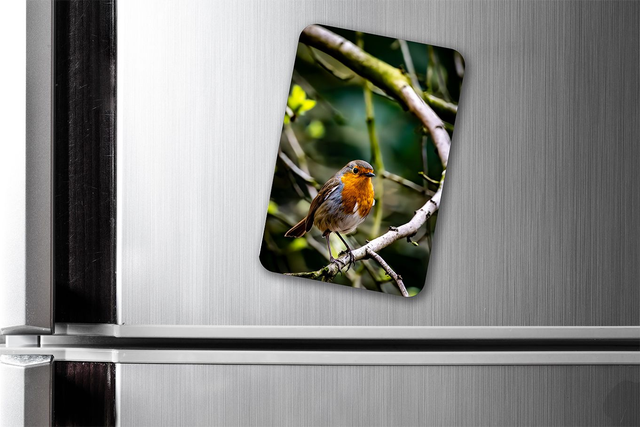 Perched, North Yorkshire