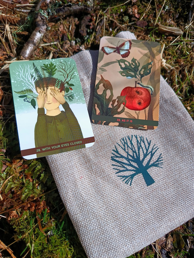 Forest Meditations: a deck that supports the Japanese practice of shinrin yoku (forest bathing) * by Moc Lasu
