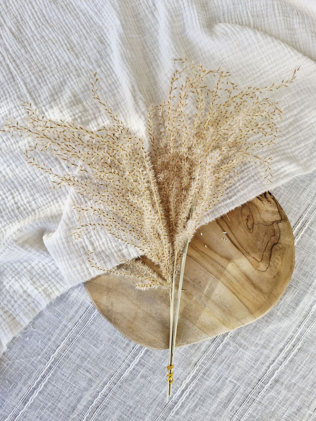 Vide atelier - Miscanthus séché naturel