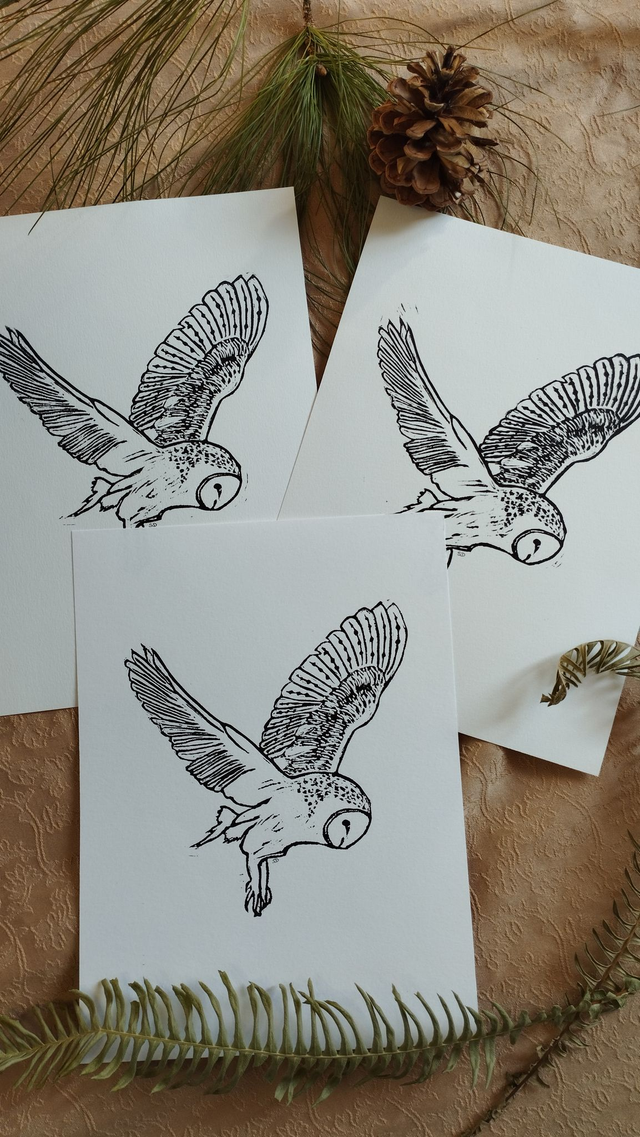 Illustration Oiseau Chouette Effraie, couleur noire, dimension 18 x 24 cm