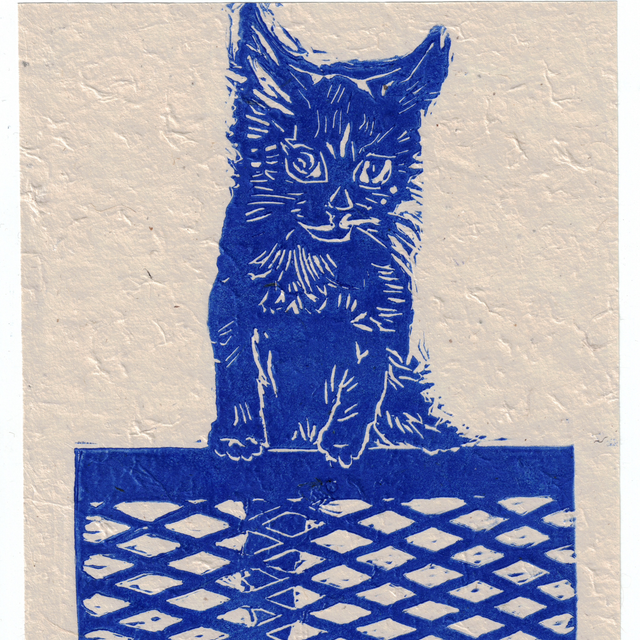 Chaton bleu grimpeur 