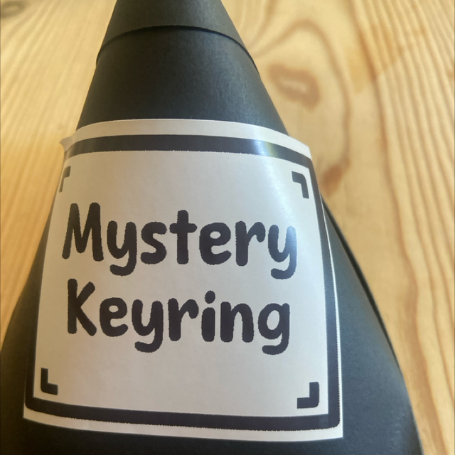 Mystery Keyring 