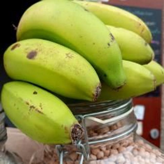 plátano canario ecológico