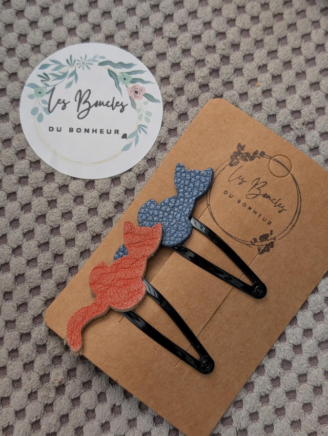 Barrette b043