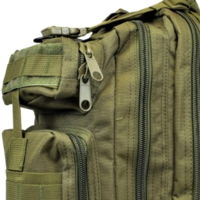 Royal 25 ltr Backpack