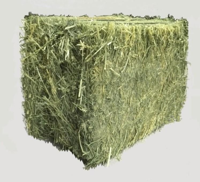 Hay Alfalfa high density/quality 25kgs