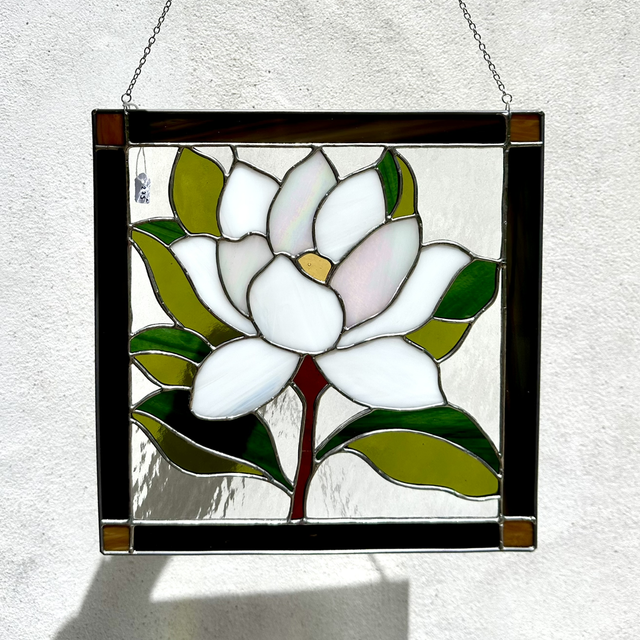 Magnolia de mon enfance