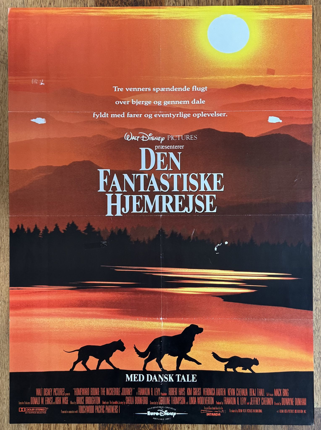 Den fantastiske hjemrejse