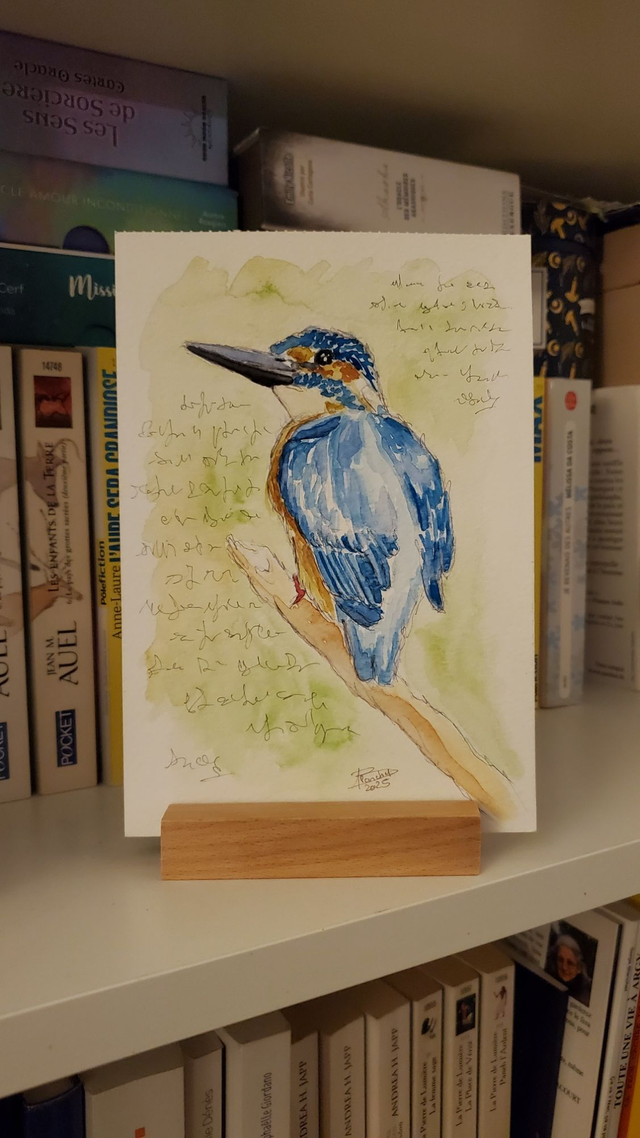 [1902] Martin-pêcheur