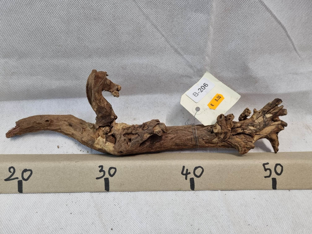 Racine Mangrove B-206