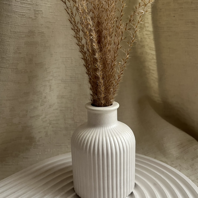 Florero Lino