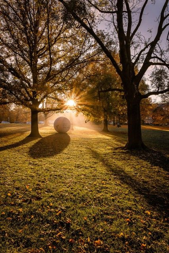 Aaseekugel unter Herbstbäumen