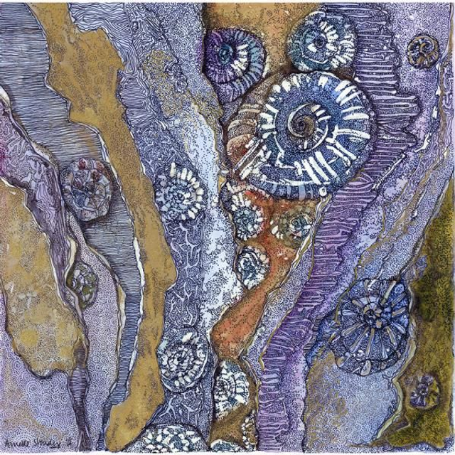 Ammonite 2