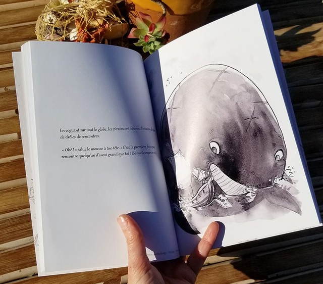 Artbook | Vie de Pirate