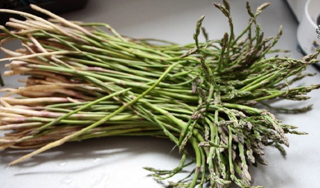 ASPARAGI SELVATICI-500gr-