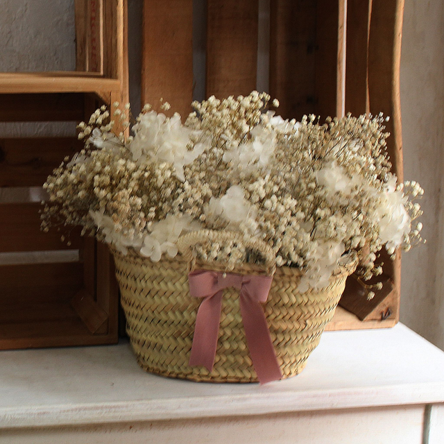 7 - CAPAZO - CL254. GIPSOPHYLA PRESERVADA