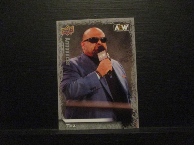 Taz - All Elite AEW Original Upper Deck Trading Card #100
