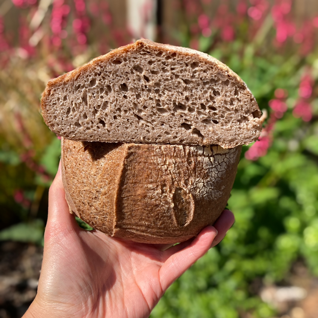 Gluten Free Sourdough