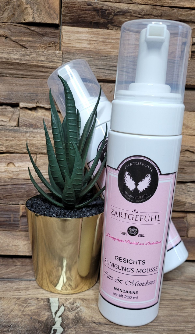 Gesichts Reinigungsmousse