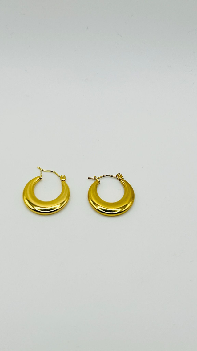 Stainless Steel Earrings (SSE83J)