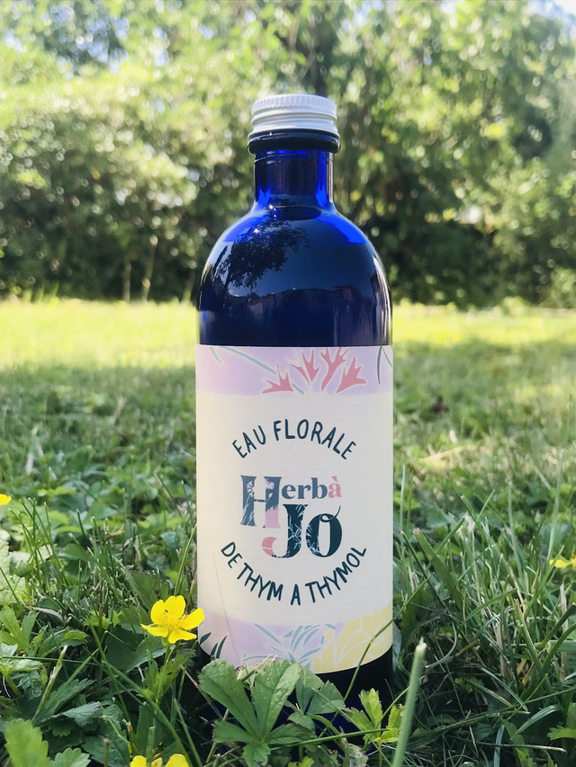 Eau Florale de Thym à Thymol