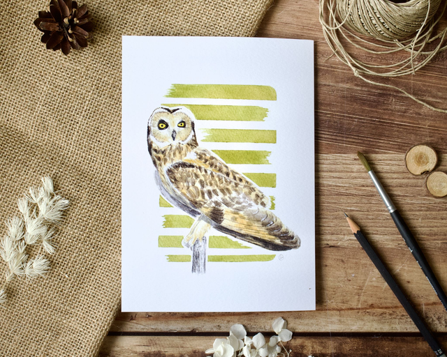 Hibou des marais - reproduction en tirages limités