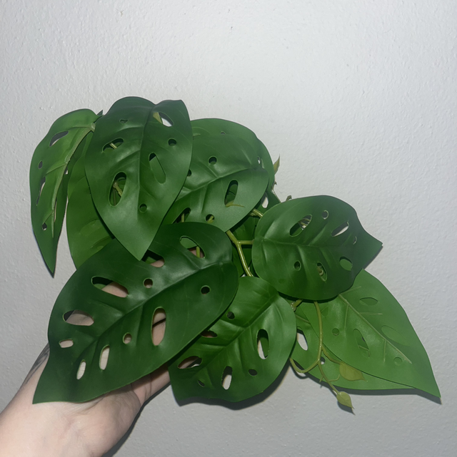 Umělá rostlina - Monstera monkey mask