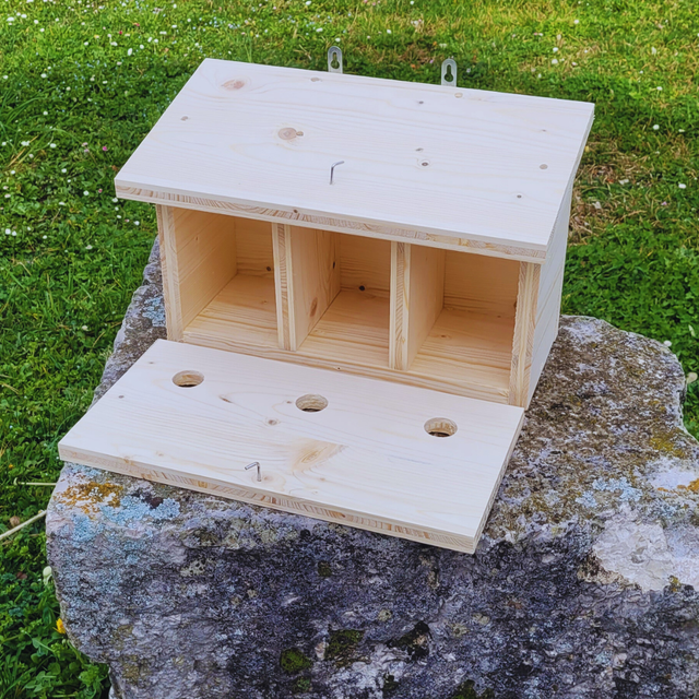Nichoir triple à moineaux 🐦