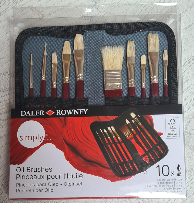 Daler Rowney 10 Oil Paint Brushes case