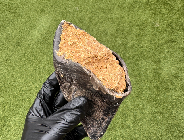 Peanut Butter Flavour Filled Hooves 1 Piece