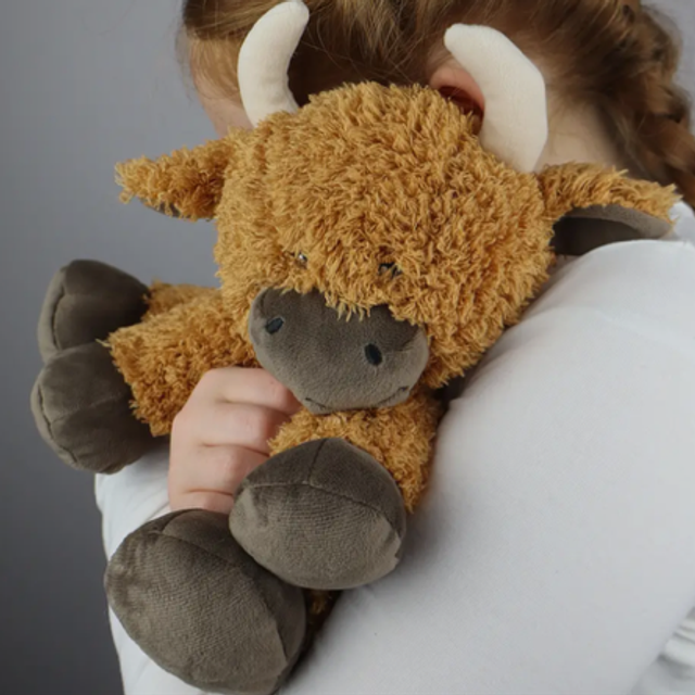 Microwaveable Beddy Teddy 