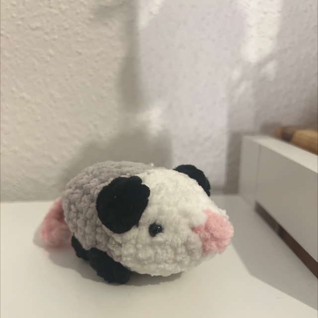 Opossum 🐁