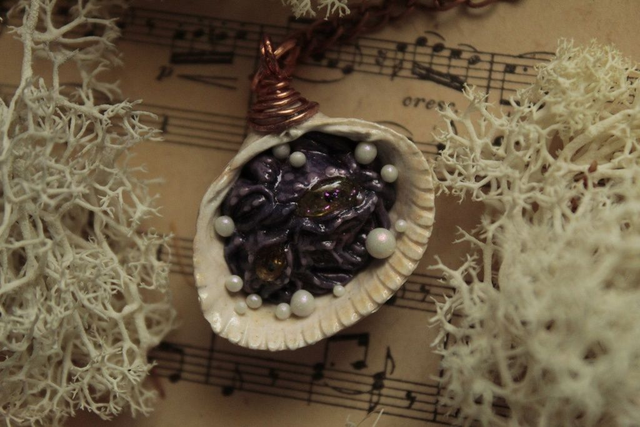 Coquillage Métamorphe- n°15