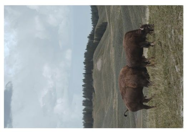 Carte Postale - Série En Route