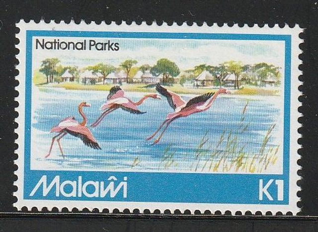 Malawi 1982 Birds,Greater Flamingo MNH