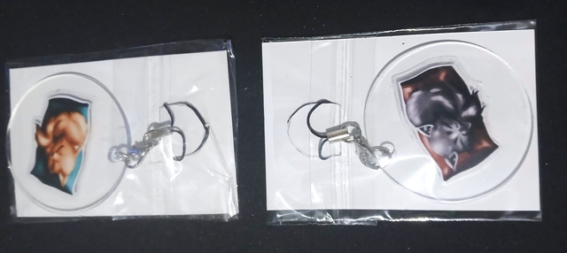 Chats Lots 2 porte clé