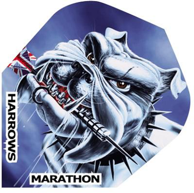 HARROWS MARATHON BLUE PIT BULL FLIGHTS 