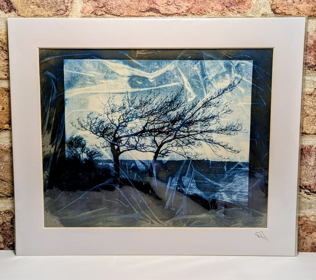 Cyanolumen Art by Mary Thomas 