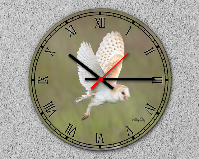 “Barn Owl in Flight” Clock    