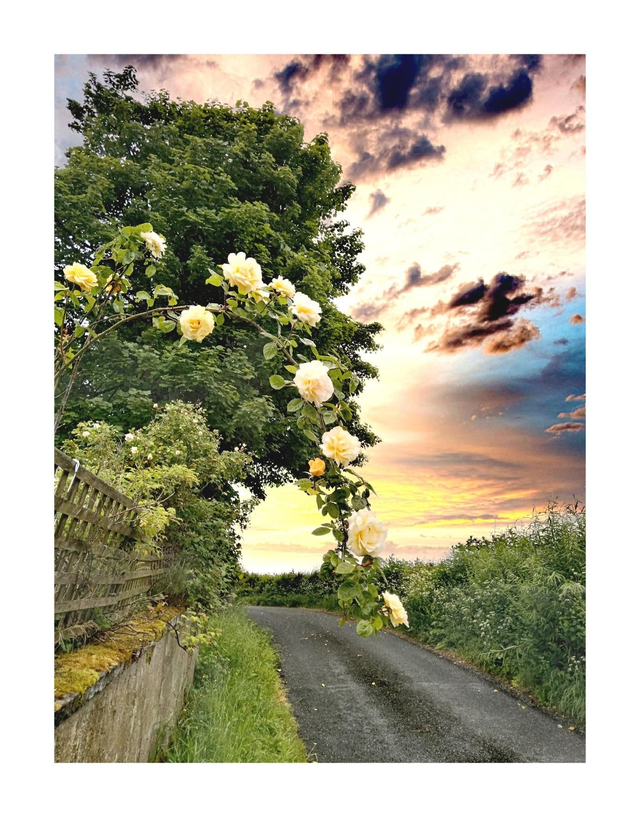 Home Sweet Home, Ballymote, County Sligo. 5" x 7 " Blank Greeting card with envelope. includes postage to all of Ireland.

