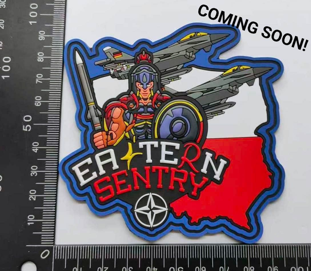 EASTERN SENTRY Steinhoff/Richthofen PVC