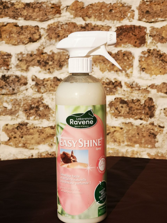 Spray Easy Shine – Ravene