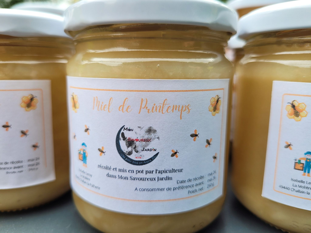 Miel de printemps 250g