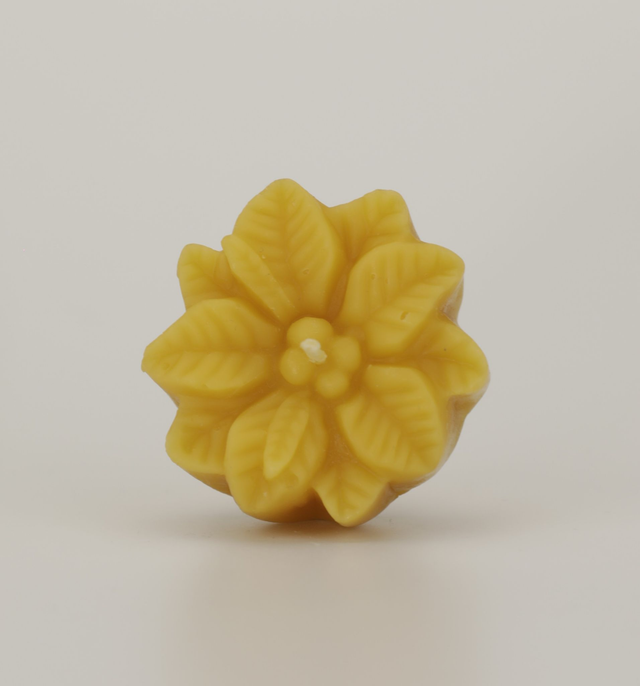 Poinsettia